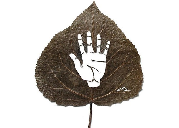 leafart-lcdesign16