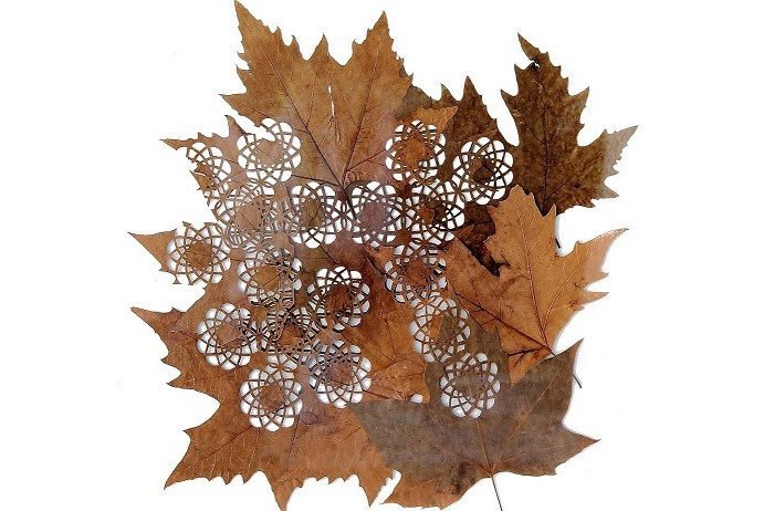 leafart-lcdesign18