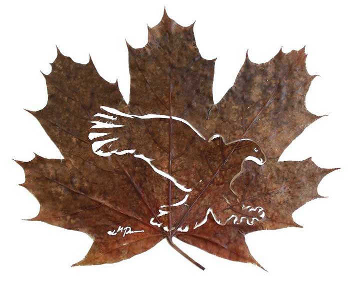 leafart-lcdesign3
