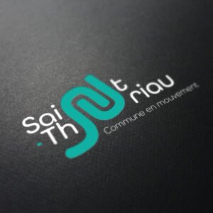Nouveau logo St Thuriau