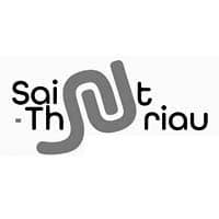 logo_0001_saint-thuriau.jpg