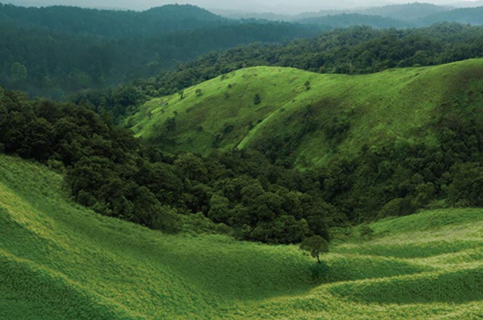 Kerala : De lourdes conséquences